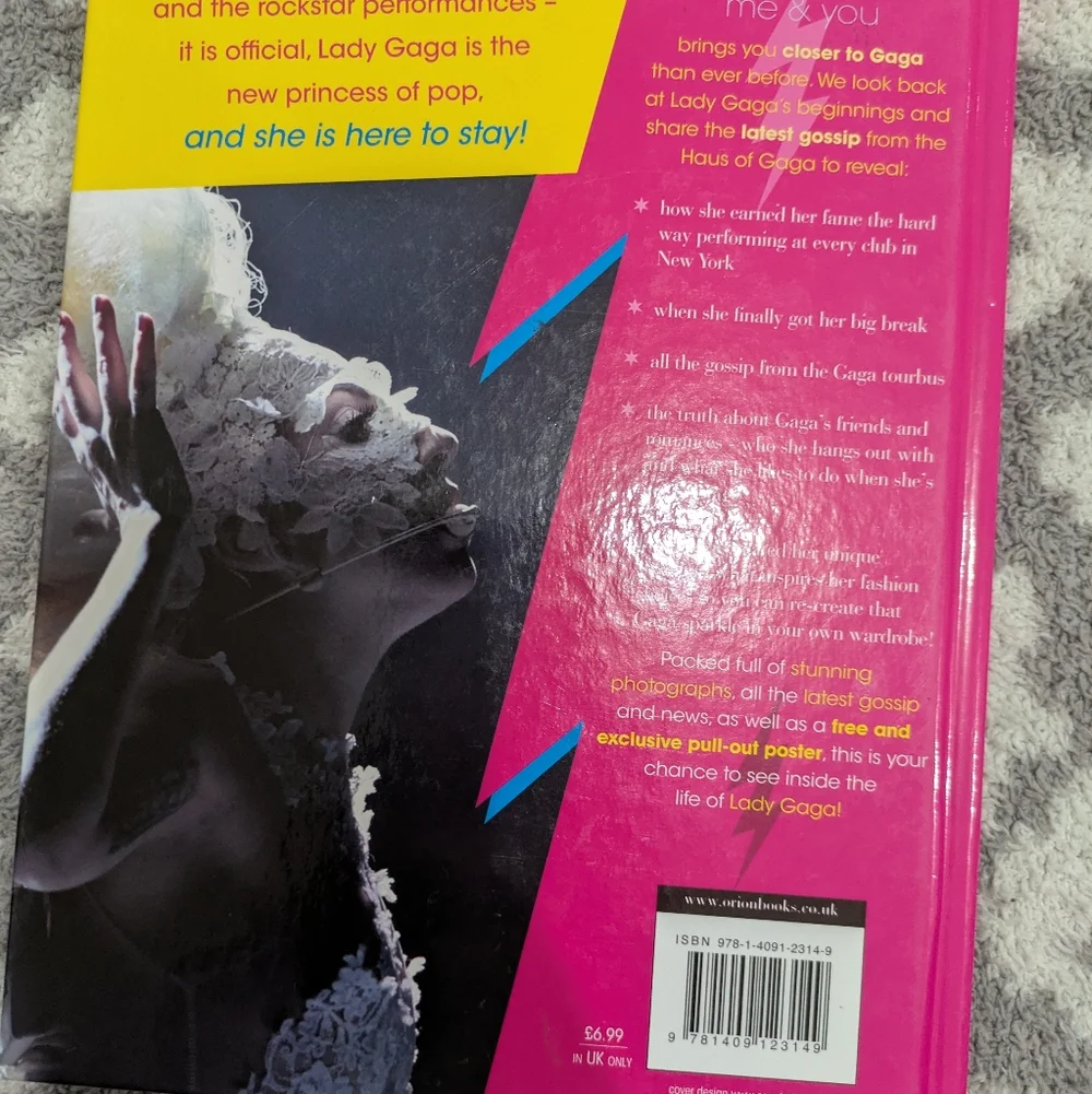 Lady Gaga Book Duo - Picture 5 of 10
